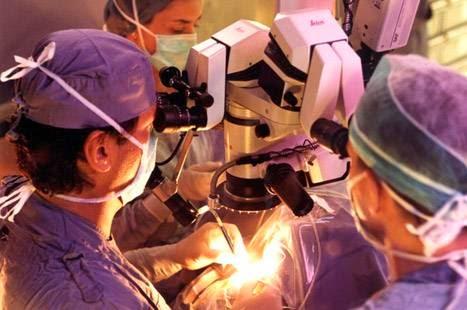 Imagen 5 Mercadona foto