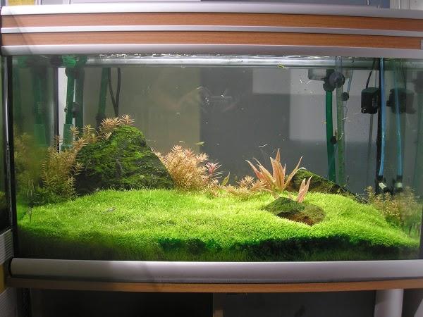Imagen 23 Sunny Homes Spain foto