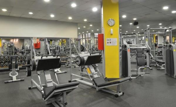 Imagen 10 The Salvia foto