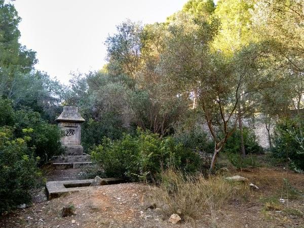 Imagen 39 Dénia foto