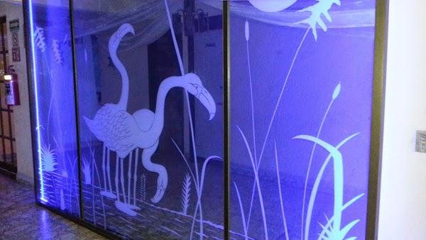 Imagen 9 Escuela Primaria Justo Sierra foto