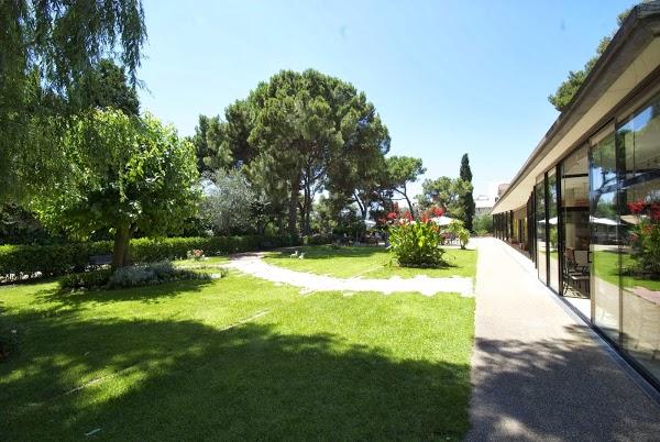 Imagen 2 Flor de Mayo foto