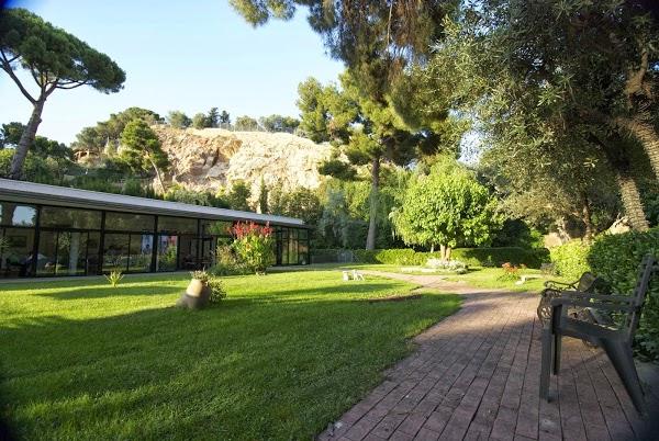 Imagen 13 Flor de Mayo foto