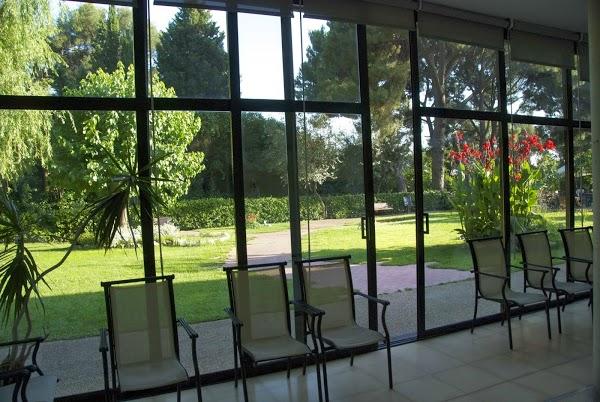 Imagen 15 Flor de Mayo foto