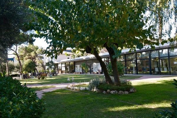 Imagen 5 Flor de Mayo foto