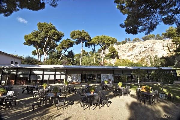 Imagen 9 Flor de Mayo foto