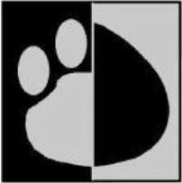 Imagen 2 The Language Academy foto