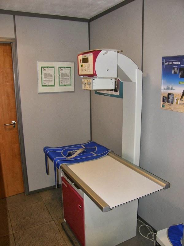 Imagen 3 The Language Academy foto