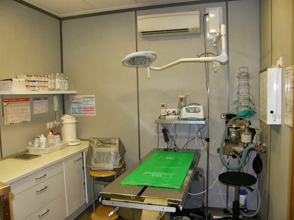 Imagen 5 The Language Academy foto