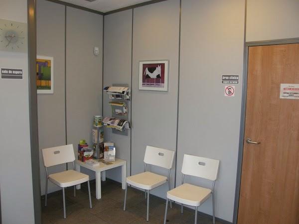 Imagen 6 The Language Academy foto