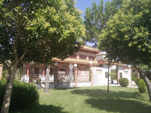 Imagen 24 Lienzo foto