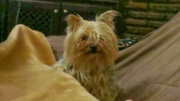 Imagen 4 Lienzo foto