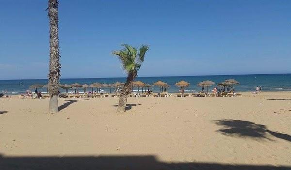 Imagen 14 EL DESVÁN foto