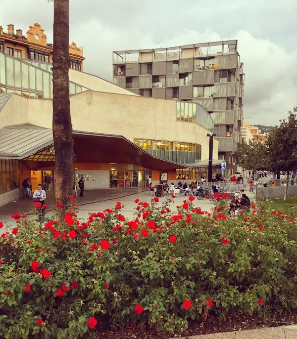 Imagen 16 Biblioteca Municipal. Red de Bibliotecas. José Hierro foto