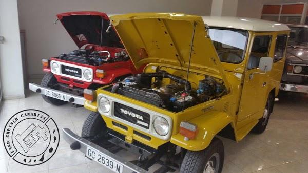 Imagen 107 HOVIMA La Pinta foto