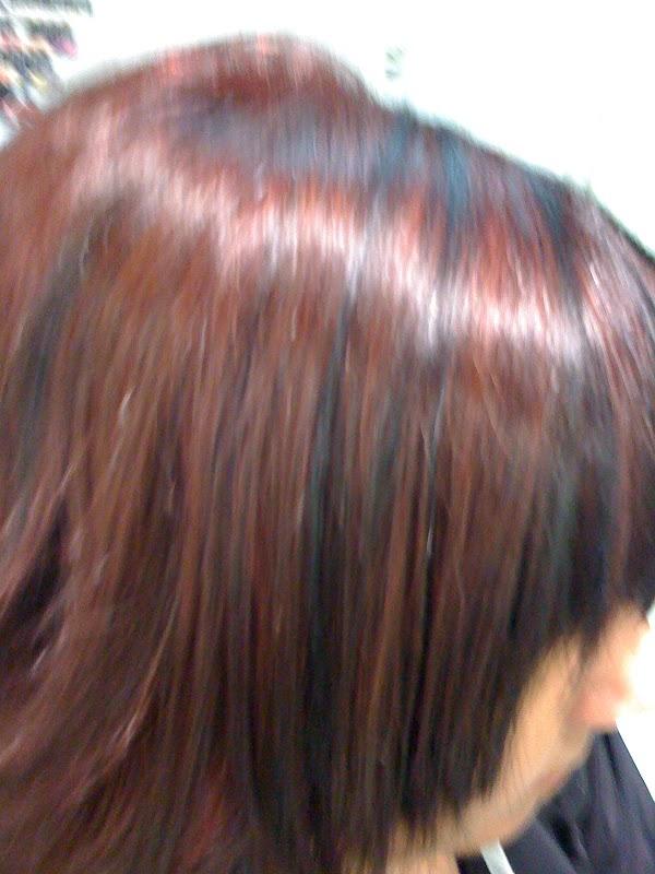 Imagen 8 HOVIMA La Pinta foto