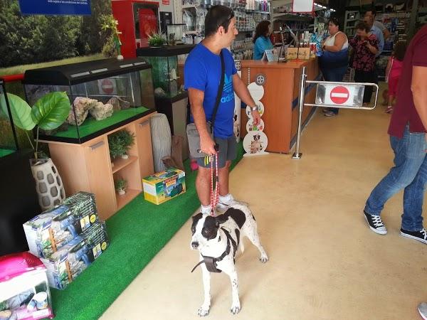 Imagen 7 WINGATE FOOD MART foto