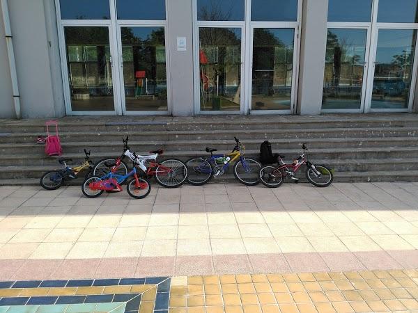 Imagen 129 Polideportivo Municipal la Benedicta foto