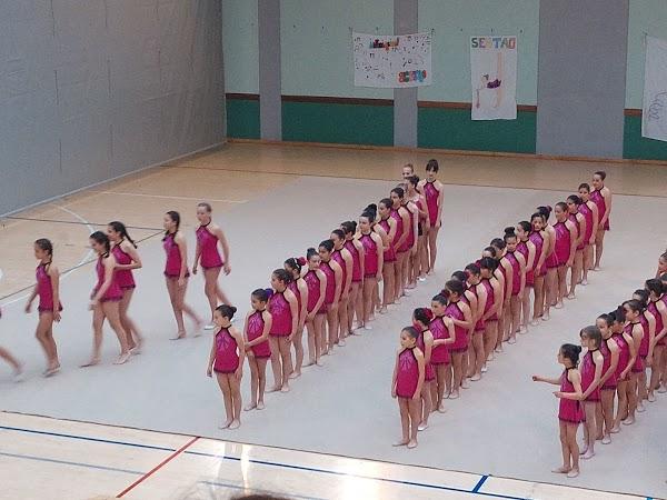 Imagen 144 Polideportivo Municipal la Benedicta foto