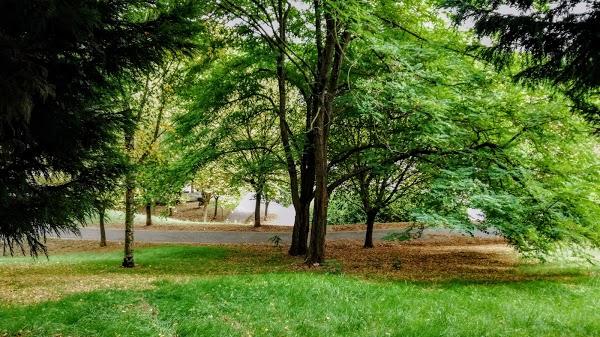 Imagen 150 Polideportivo Municipal la Benedicta foto