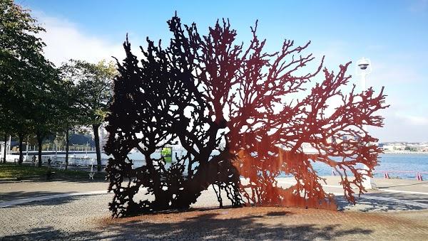 Imagen 42 Bachillerato Internacional Uninter BIU - Edificio 14 foto