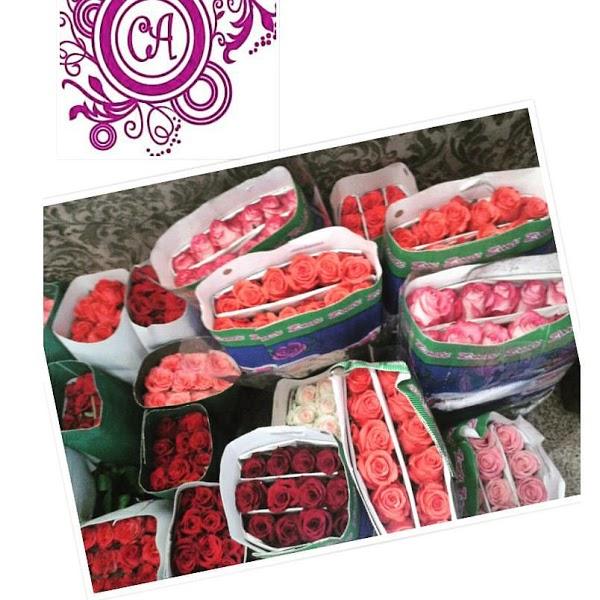 Imagen 14 Samba Brasil foto