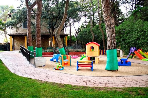 Imagen 10 Lotus foto