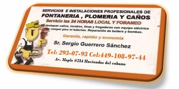 Imagen 4 FINCAS FINESTRELLES SL foto