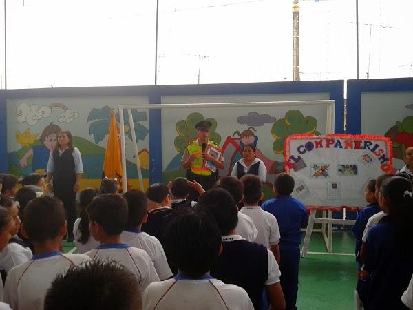 Imagen 8 FINCAS FINESTRELLES SL foto