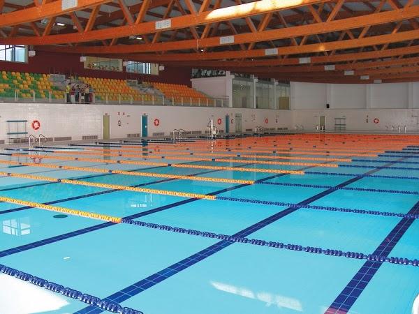 Imagen 50 El Vivero foto