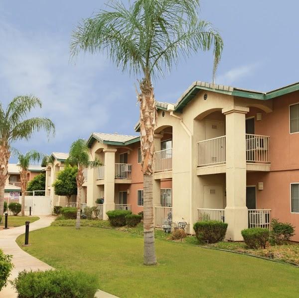 Imagen 21 Associació Solidanca foto