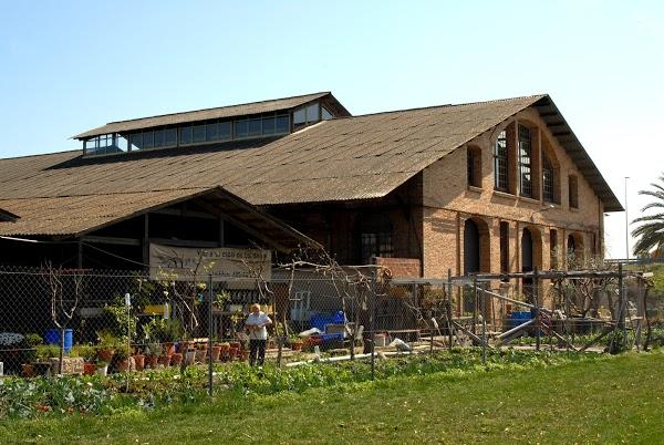 Imagen 42 Associació Solidanca foto