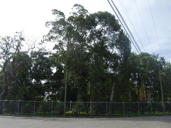 Imagen 36 QWellness foto