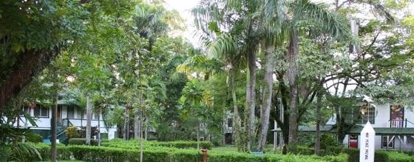 Imagen 38 QWellness foto