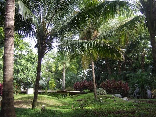 Imagen 39 QWellness foto