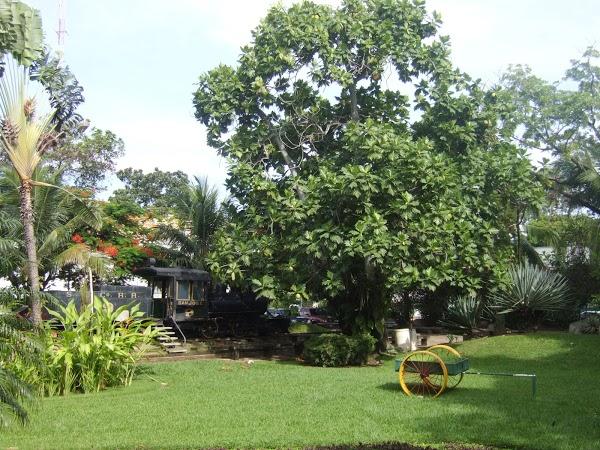 Imagen 42 QWellness foto