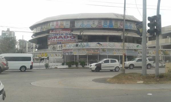 Imagen 44 Ortopèdia Clot foto