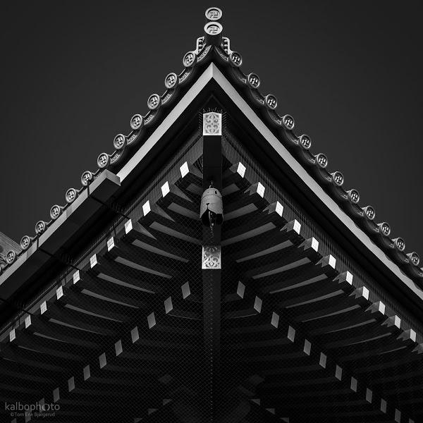 Imagen 34 Tasca Casa Fumero foto