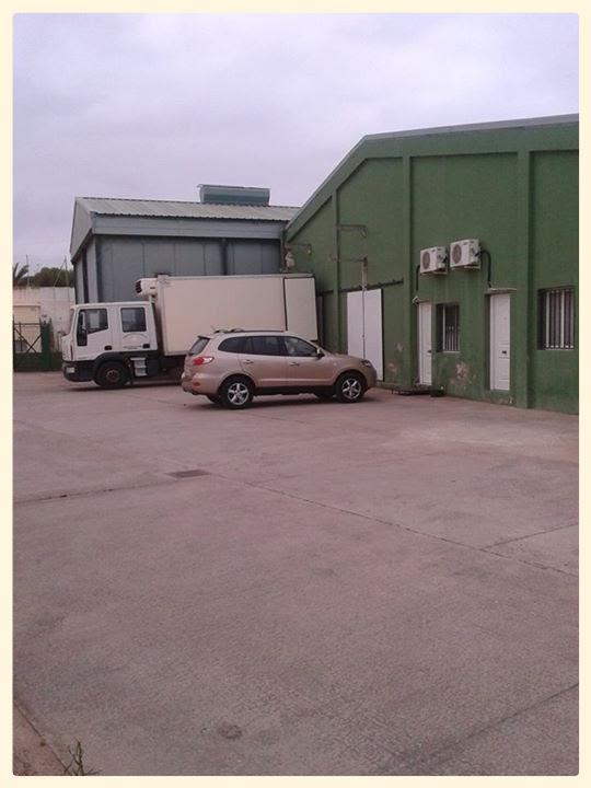 Imagen 11 Semilla de Mostaza México foto