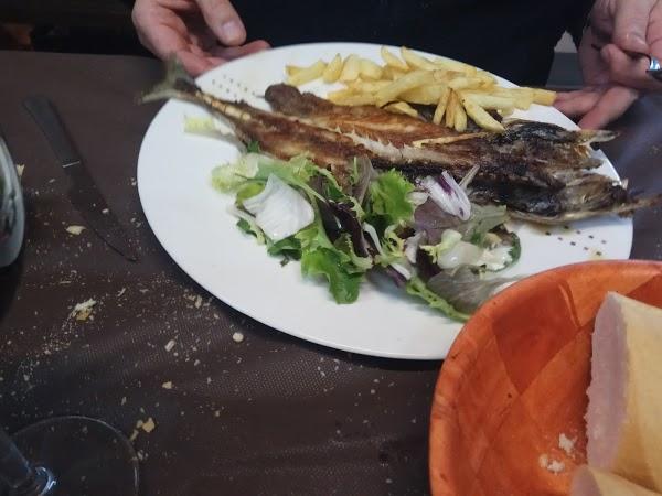 Imagen 104 Semilla de Mostaza México foto