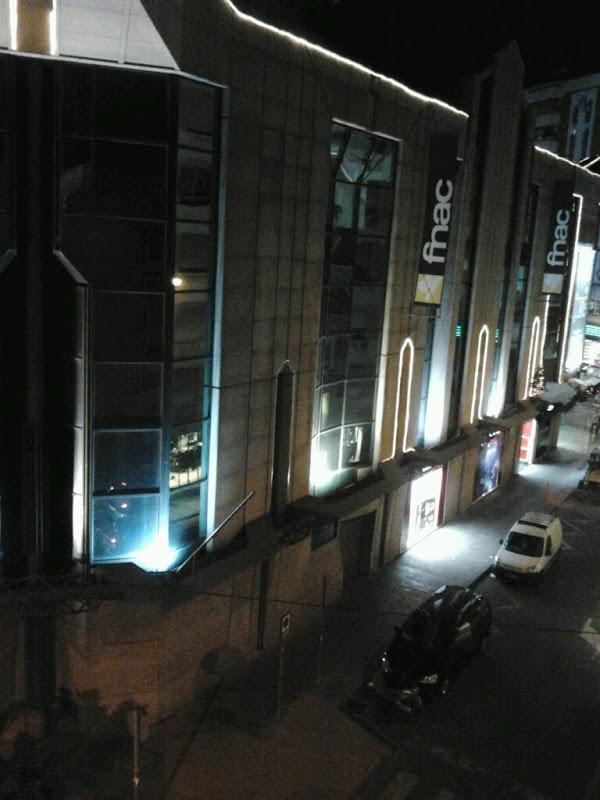 Imagen 23 Semilla de Mostaza México foto