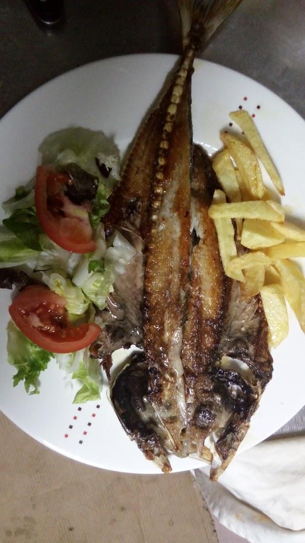 Imagen 40 Semilla de Mostaza México foto