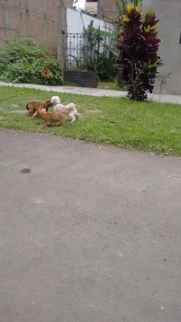 Imagen 88 ESAEM - Escuela Superior de Artes Escénicas de Málaga foto