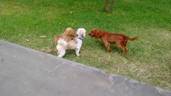 Imagen 89 ESAEM - Escuela Superior de Artes Escénicas de Málaga foto