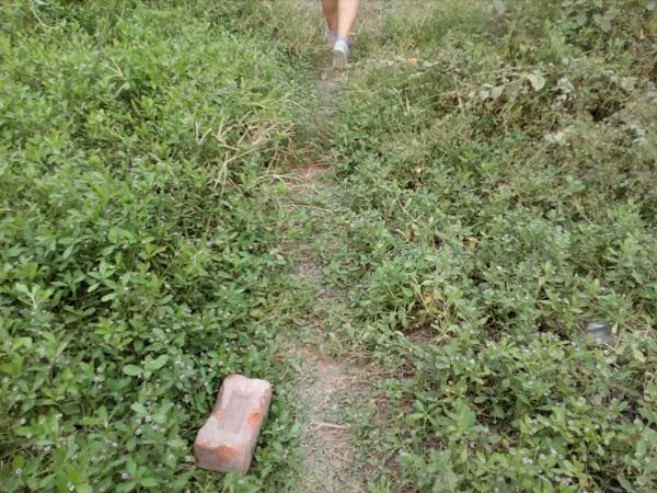 Imagen 98 ESAEM - Escuela Superior de Artes Escénicas de Málaga foto