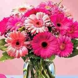 Imagen 1 Restaurante Colette foto