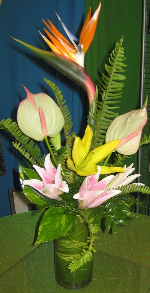 Imagen 16 Villa Florida foto