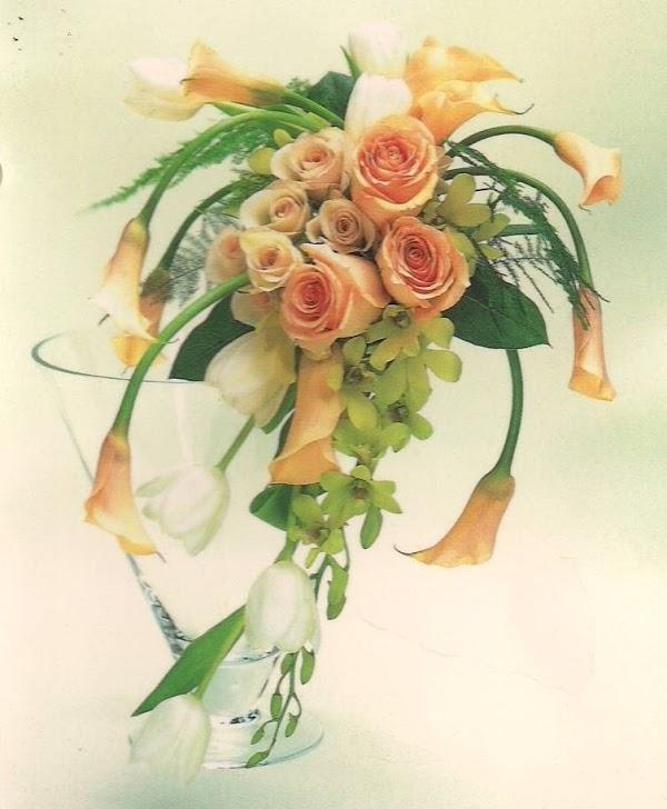 Imagen 17 Villa Florida foto