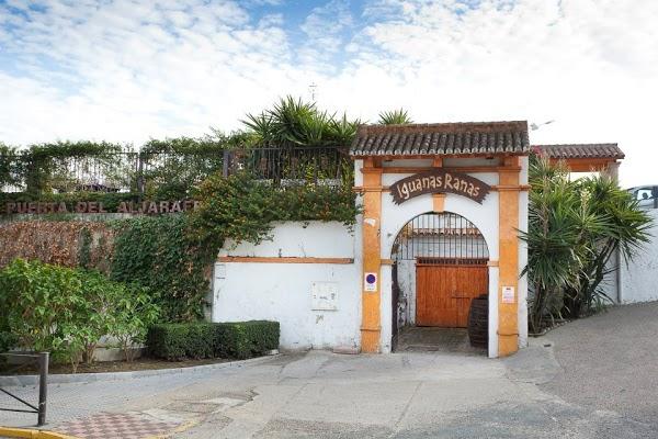 Imagen 12 Restaurante Iguanas Ranas Aljarafe foto