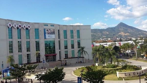 Imagen 111 Restaurante Iguanas Ranas Aljarafe foto